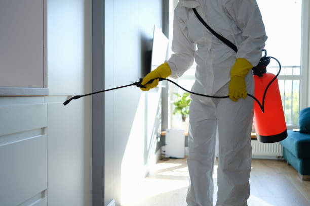 Best Mold Cleaning Services  in Fort Mckinley, OH