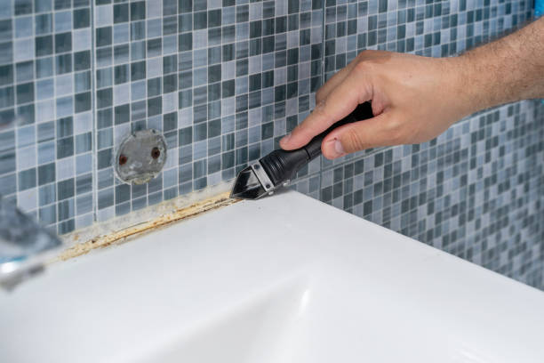 Best Affordable Mold Removal  in Fort Mckinley, OH