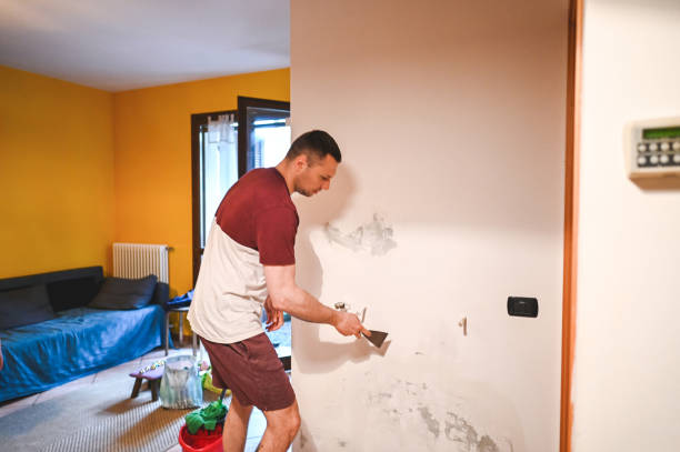 Trusted Fort Mckinley, OH Mold Removal Experts